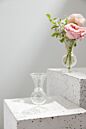Design Shop Queensland Budvase 2.5"x 4.75", Set of 6