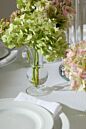 Design Shop Queensland Budvase 3.25"x 6", Set of 4