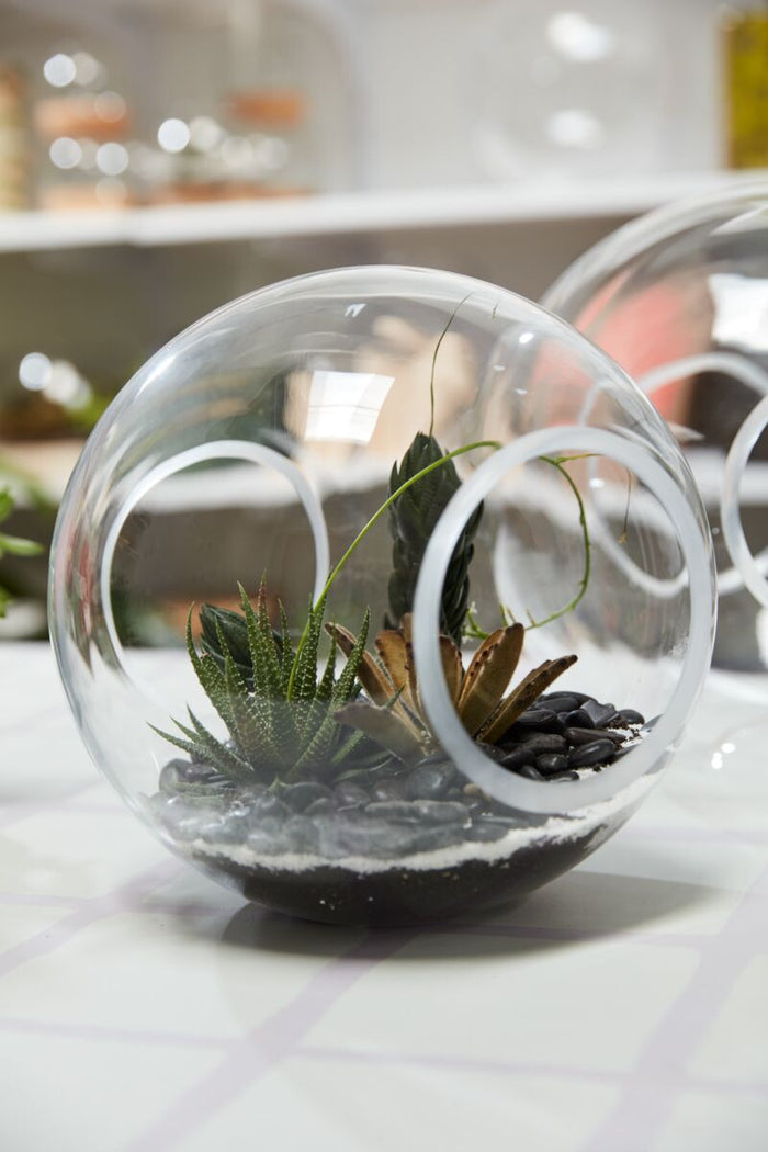 Design Shop Clear Crosswinds Vase, 10" X 9".