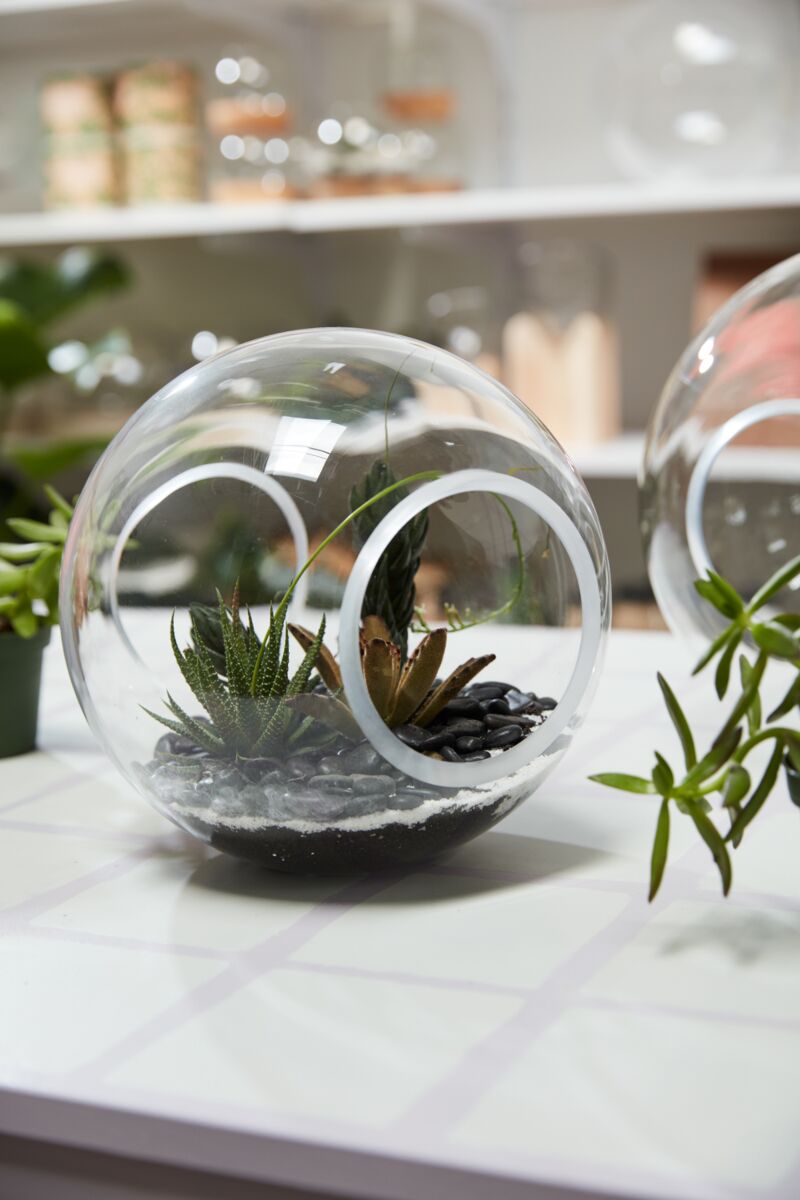 Design Shop Clear Crosswinds Vase, 10" X 9".