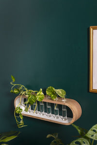 Design Shop Off-White Kennedy Propagation Stand, 20" X 7.75".