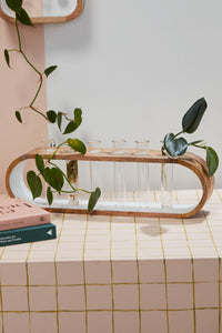 Design Shop Off-White Kennedy Propagation Stand, 20" X 7.75".