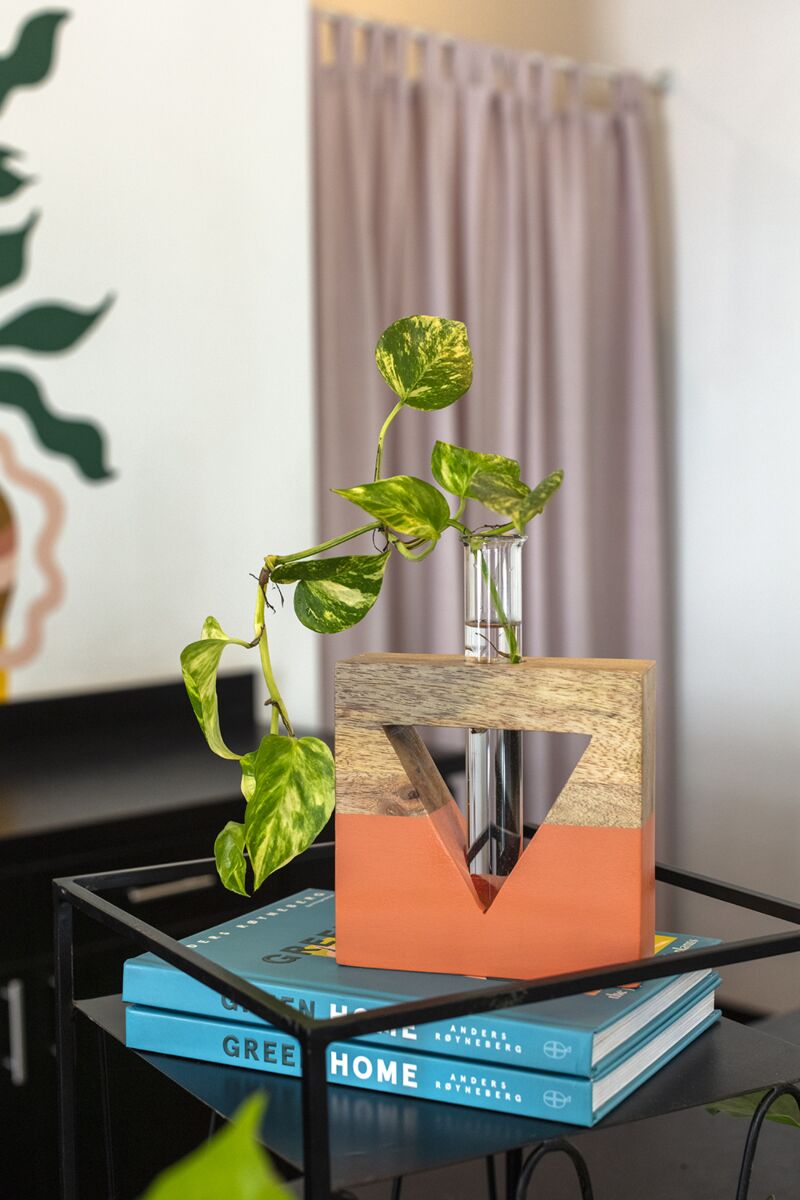 Design Shop Red Lotem Propagation Stand, 6" X 8.5", Set of 4.