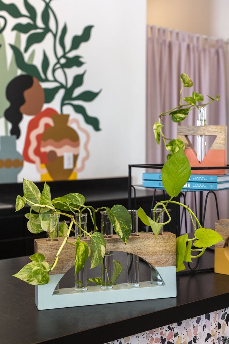 Design Shop Light-Blue Lotem Propagation Stand, 13.25" X 8.5".