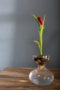 Design Shop Clear Ashby Vase, 6.75" X 8".