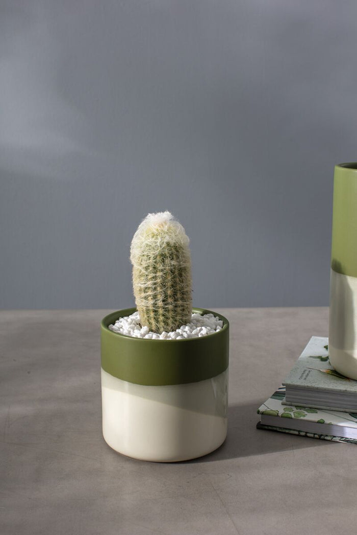 Design Shop Green Lauris Collection Pot, 4.5" X 4.5", Set of 2.