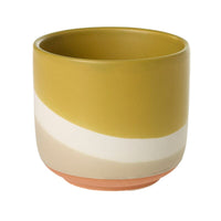 Design Shop Yellow Colorway Collection Pot, 4" X 3.5", Set of 2.