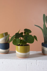 Design Shop Yellow Colorway Collection Pot, 4" X 3.5", Set of 2.