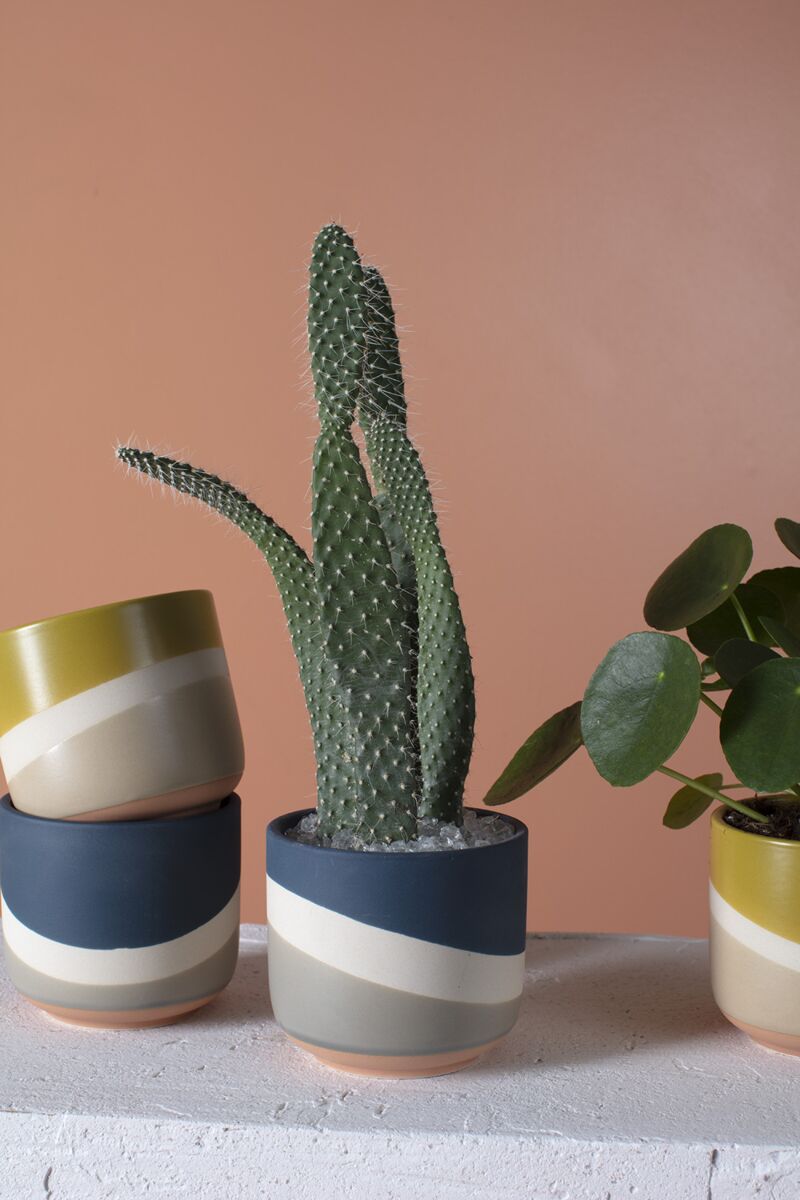 Design Shop Dark-Blue Colorway Collection Pot, 4" X 3.5", Set of 2.