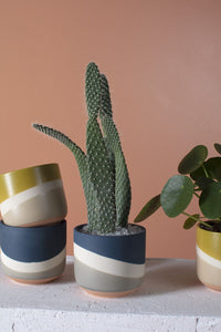 Design Shop Dark-Blue Colorway Collection Pot, 4" X 3.5", Set of 2.