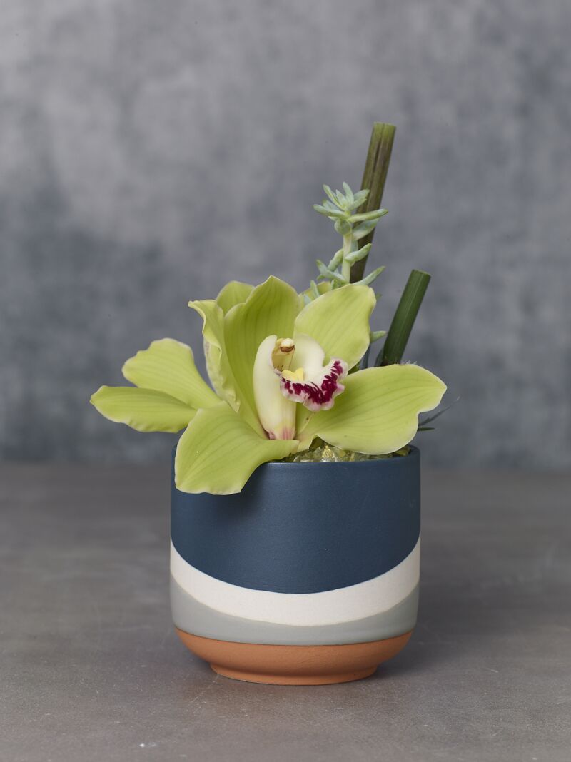 Design Shop Dark-Blue Colorway Collection Pot, 4" X 3.5", Set of 2.