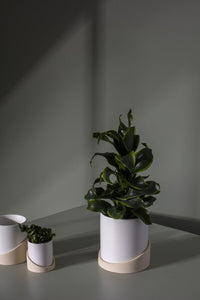 Design Shop White Brisbane Pot, 6.5" X 7.25".
