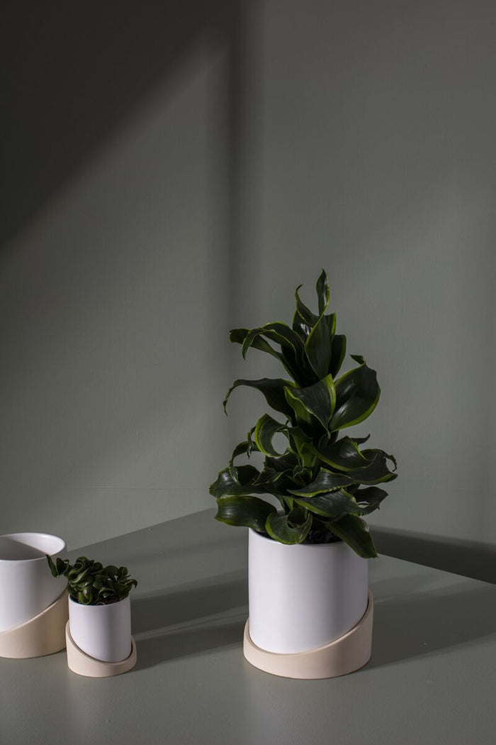 Design Shop White Brisbane Pot, 6.5" X 7.25".