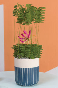 Design Shop Dark-Blue Westview Pot Stripes, 4.75" X 5", Set of 2.