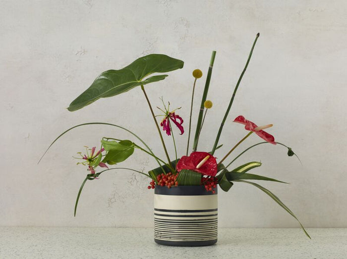 Design Shop Black Sinclair Collection Pot, 6.75" X 6.5"