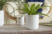 Design Shop Off-White Triangles and Tatas Pot, 4.5" X 4.75".