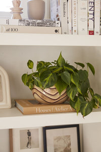 Design Shop Brown Mollino Collection Pot, 7.5" X 4.75".