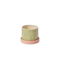Design Shop Melancia Pot with Saucer 5.5"x 4.25", Set of 2
