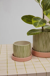 Design Shop Melancia Pot with Saucer 5.5"x 4.25", Set of 2