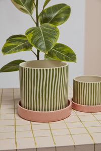 Design Shop Melancia Pot with Saucer 7.75"x 7", Set of 2