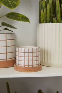Design Shop Tan Grid Line Pot with Saucer, 5.5" X 4.25", Set of 2.