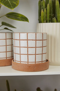Design Shop Tan Grid Line Pot with Saucer, 7.5" X 7", Set of 2.
