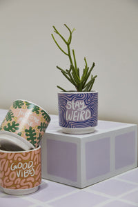 Design Shop Multicolor Funky Phrases Pot Stay Weird, 5" X 5", Set of 2.