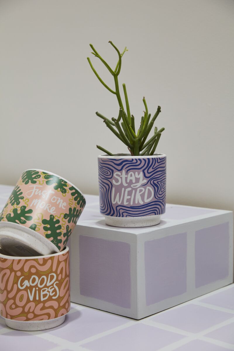 Design Shop Multicolor Funky Phrases Pot Stay Weird, 5" X 5", Set of 2.