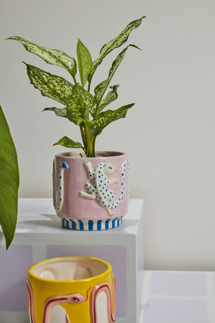 Design Shop Multicolor Wild Tails Pot Leopard, 5.25" X 4.75", Set of 2.