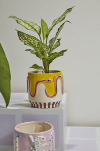 Design Shop Multicolor Wild Tails Pot Snake, 5" X 4.75", Set of 2.