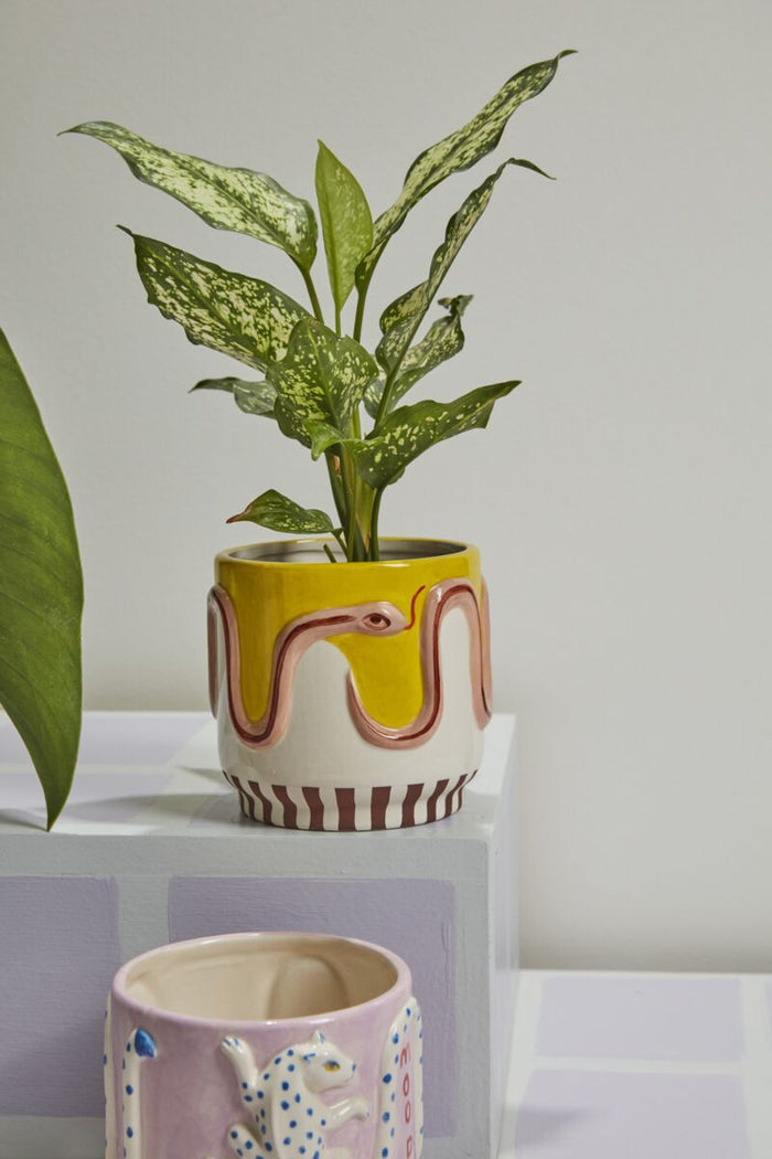 Design Shop Multicolor Wild Tails Pot Snake, 5" X 4.75", Set of 2.