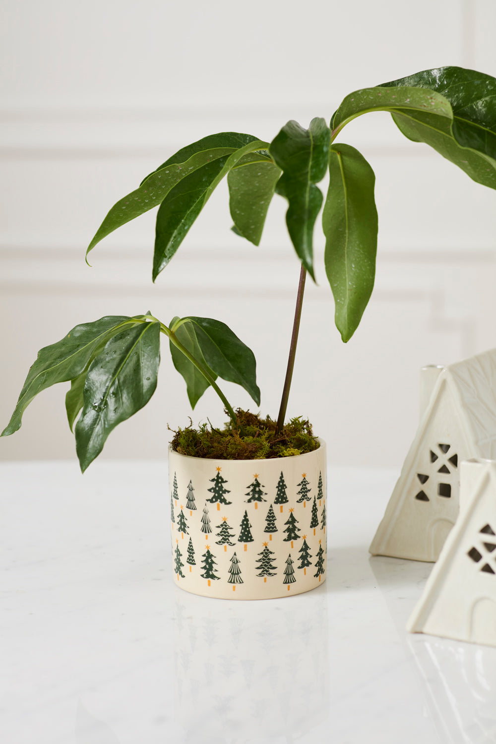 Design Shop Happy Little Trees Pot 5.25"x 4.5", Set of 2