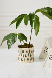 Design Shop Happy Little Trees Pot 5.25"x 4.5", Set of 2