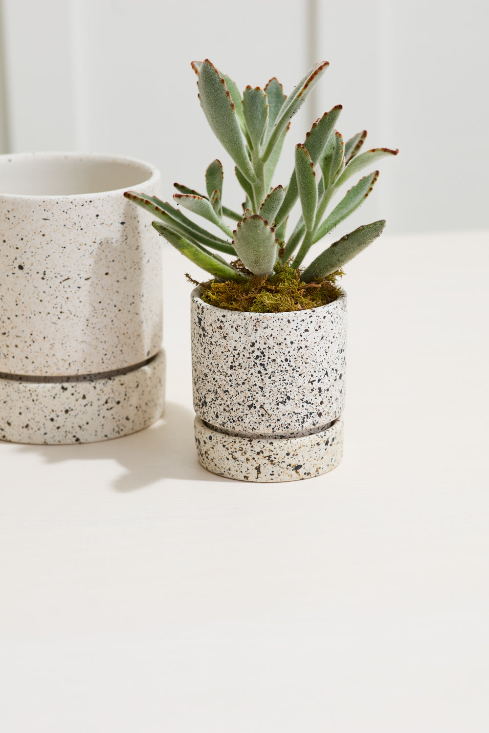 Design Shop Off-White Nisha Pot, 3.5" X 3.75".