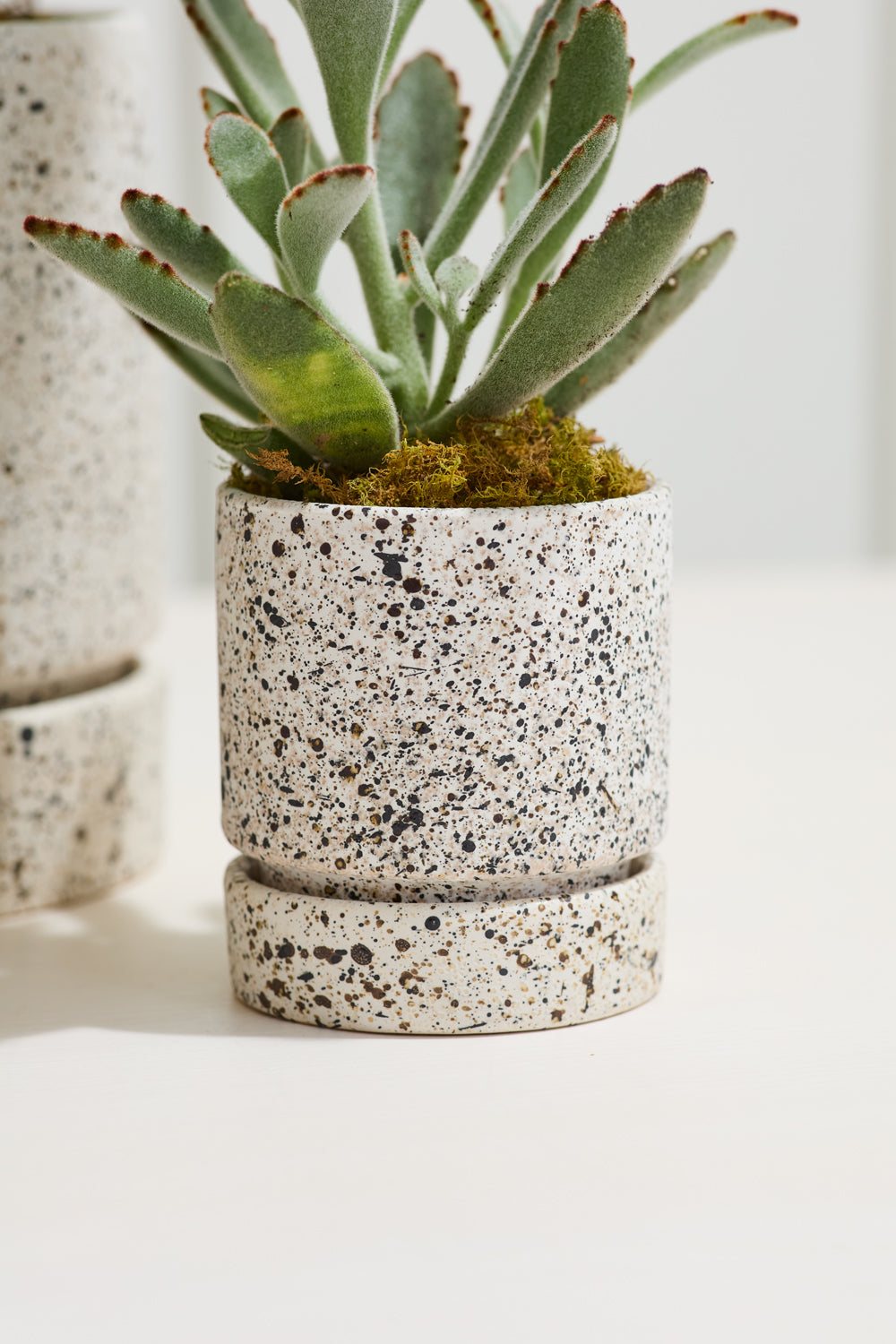 Design Shop Off-White Nisha Pot, 3.5" X 3.75".