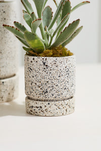 Design Shop Off-White Nisha Pot, 3.5" X 3.75".
