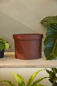 Design Shop Terracotta Klamath Pot, 11.25" X 8.75".