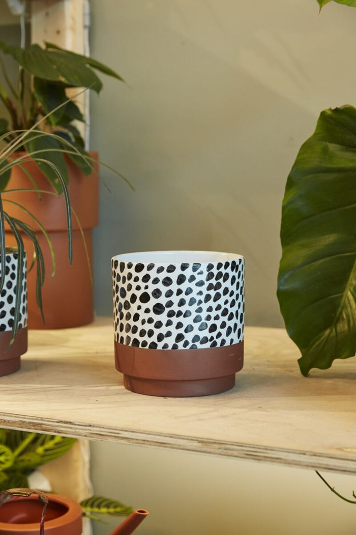 Design Shop Multicolor Lassen Pot, 6" X 6".