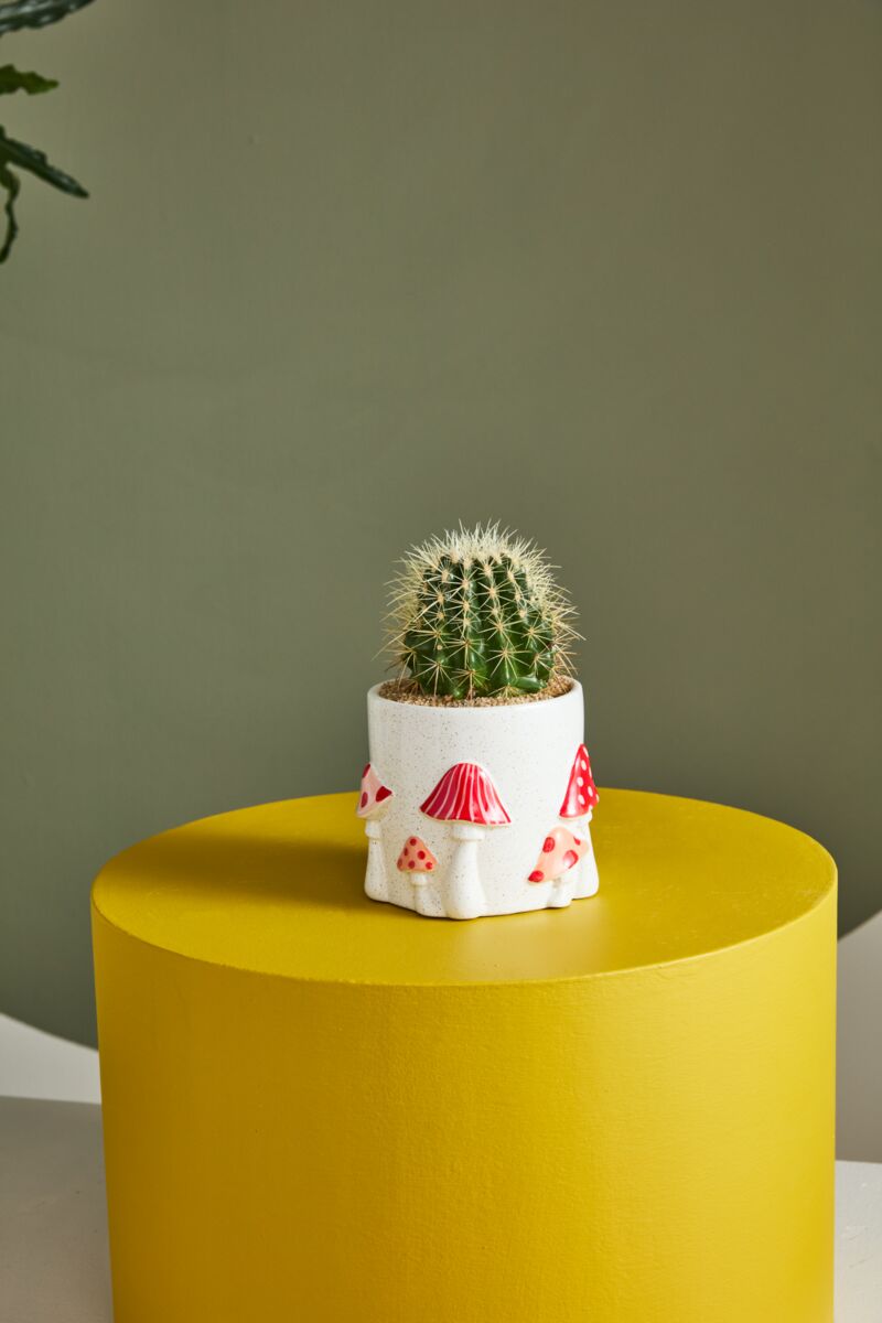 Design Shop Off-White Cheerful Mushroom Collection Pot, 5.5" X 5"