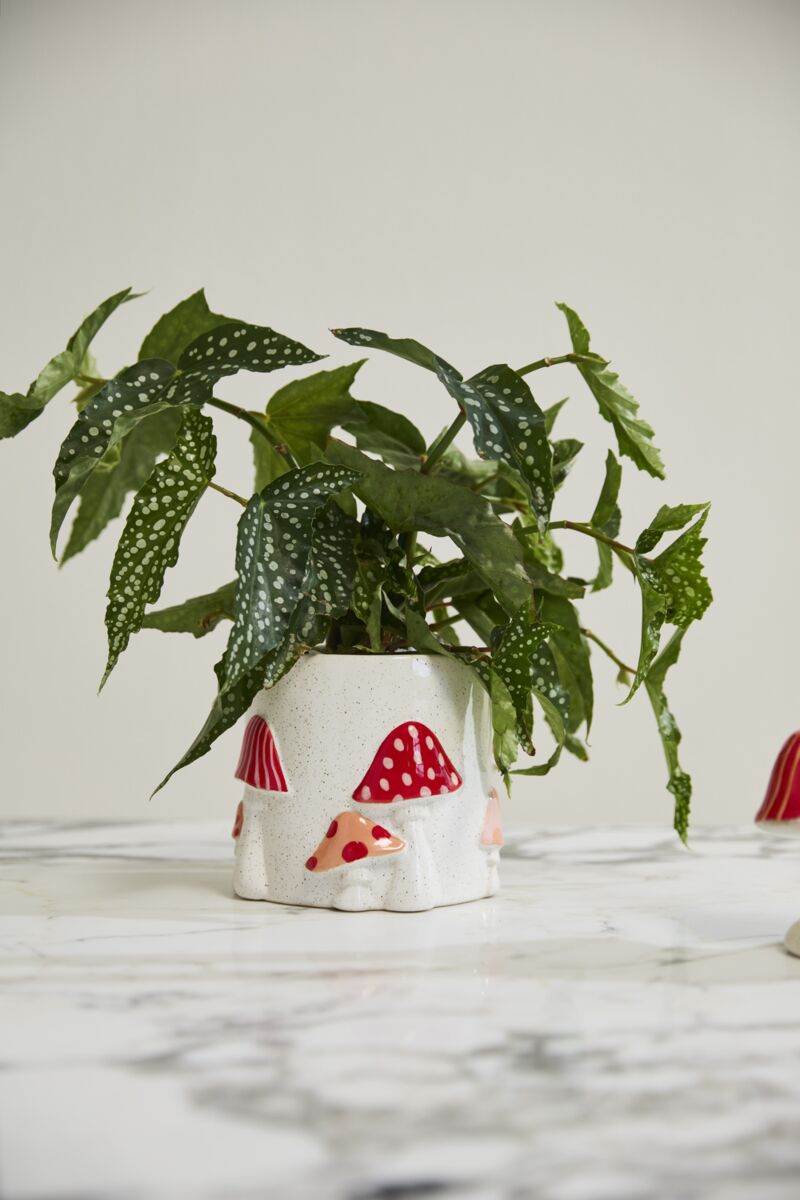 Design Shop Off-White Cheerful Mushroom Collection Pot, 5.5" X 5"