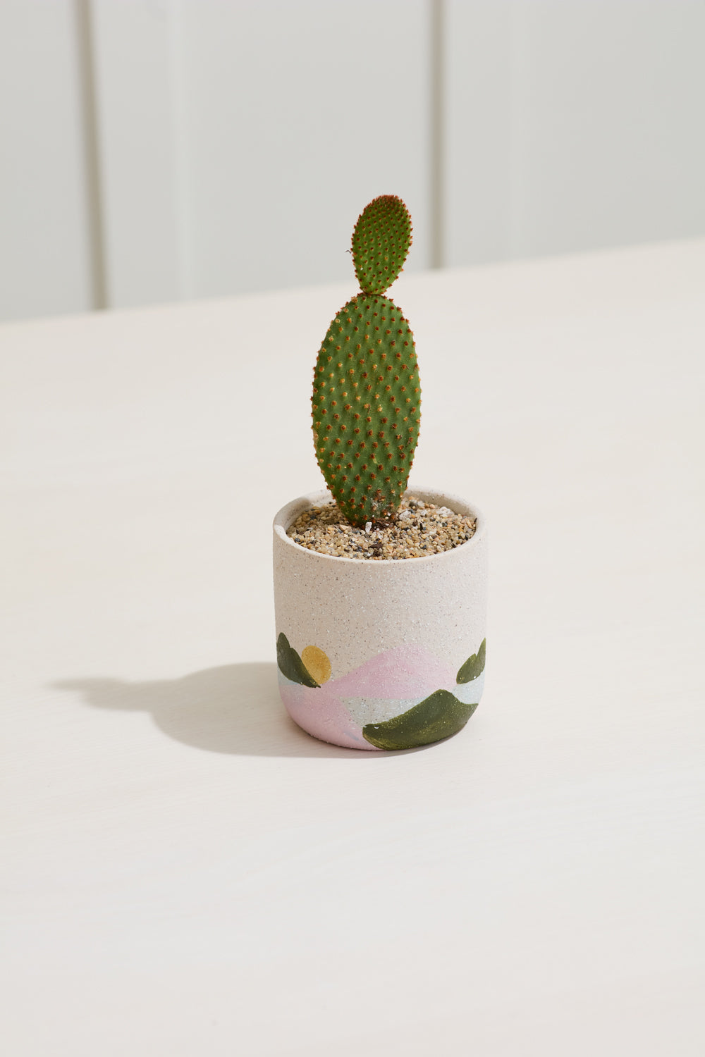 Design Shop Multicolor Mojave Pot Mountain View, 3.75" X 3.75", Set of 2.