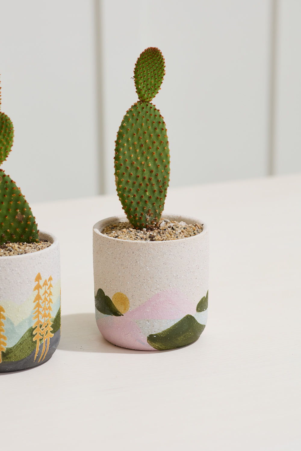 Design Shop Multicolor Mojave Pot Mountain View, 3.75" X 3.75", Set of 2.
