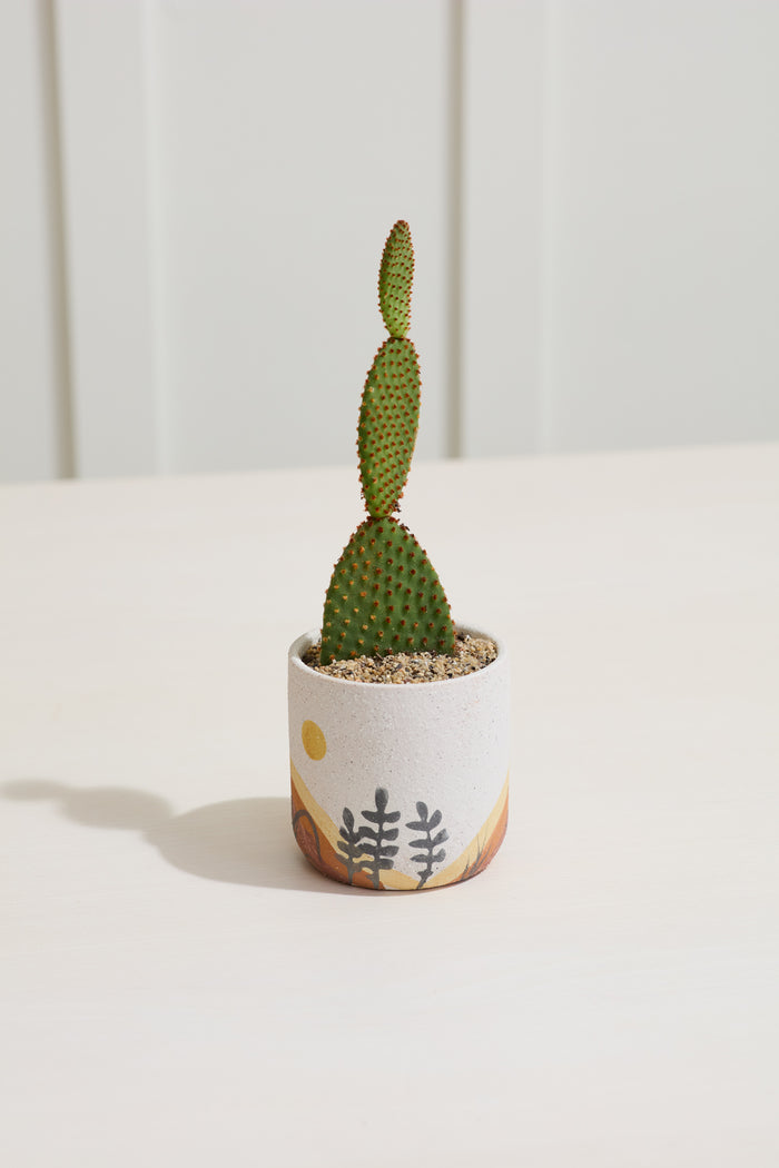 Design Shop Multicolor Mojave Pot Desert, 3.75" X 3.75", Set of 2.