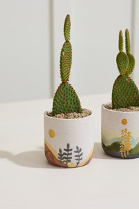 Design Shop Multicolor Mojave Pot Desert, 3.75" X 3.75", Set of 2.