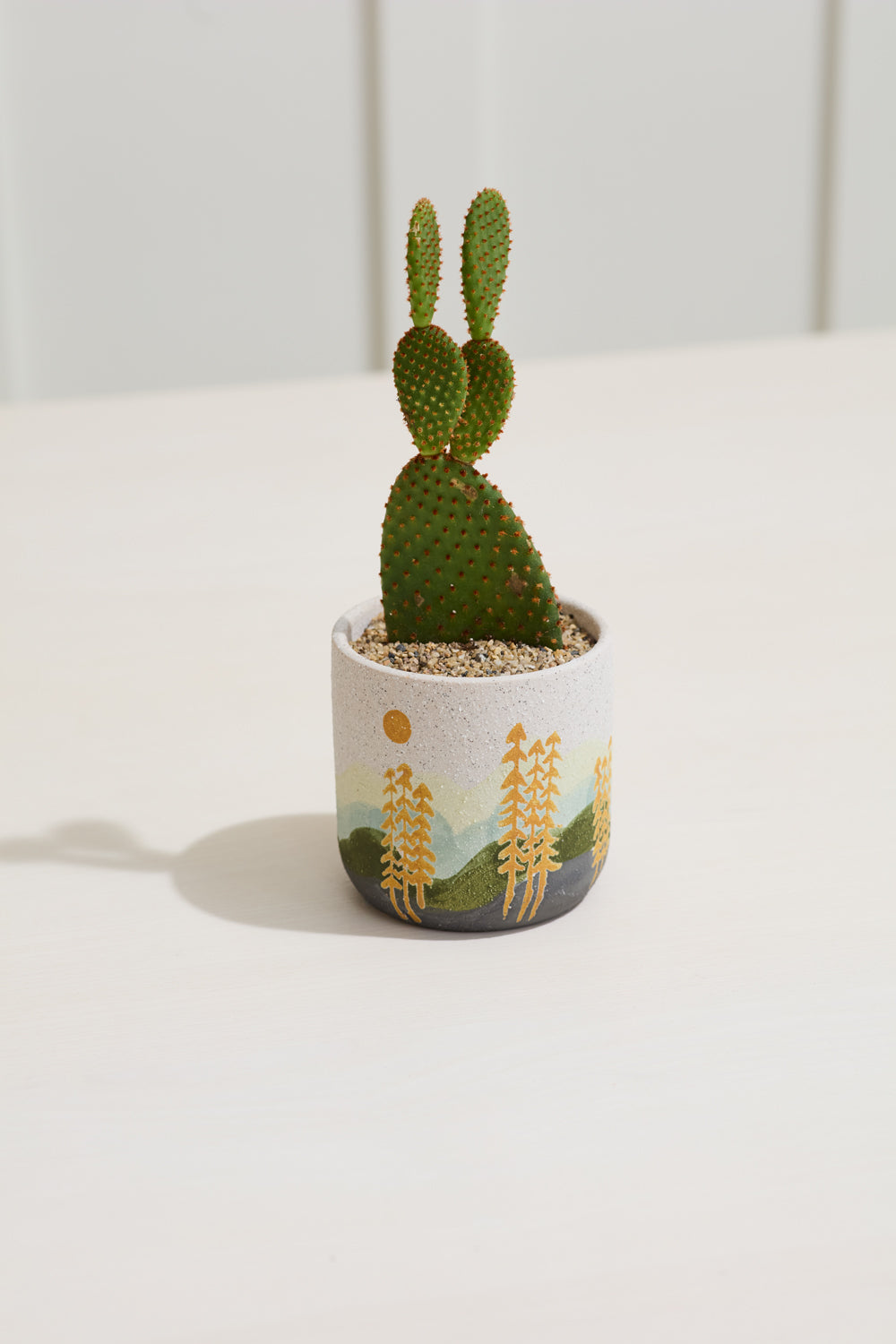 Design Shop Multicolor Mojave Pot Forest, 3.75" X 3.75", Set of 2.