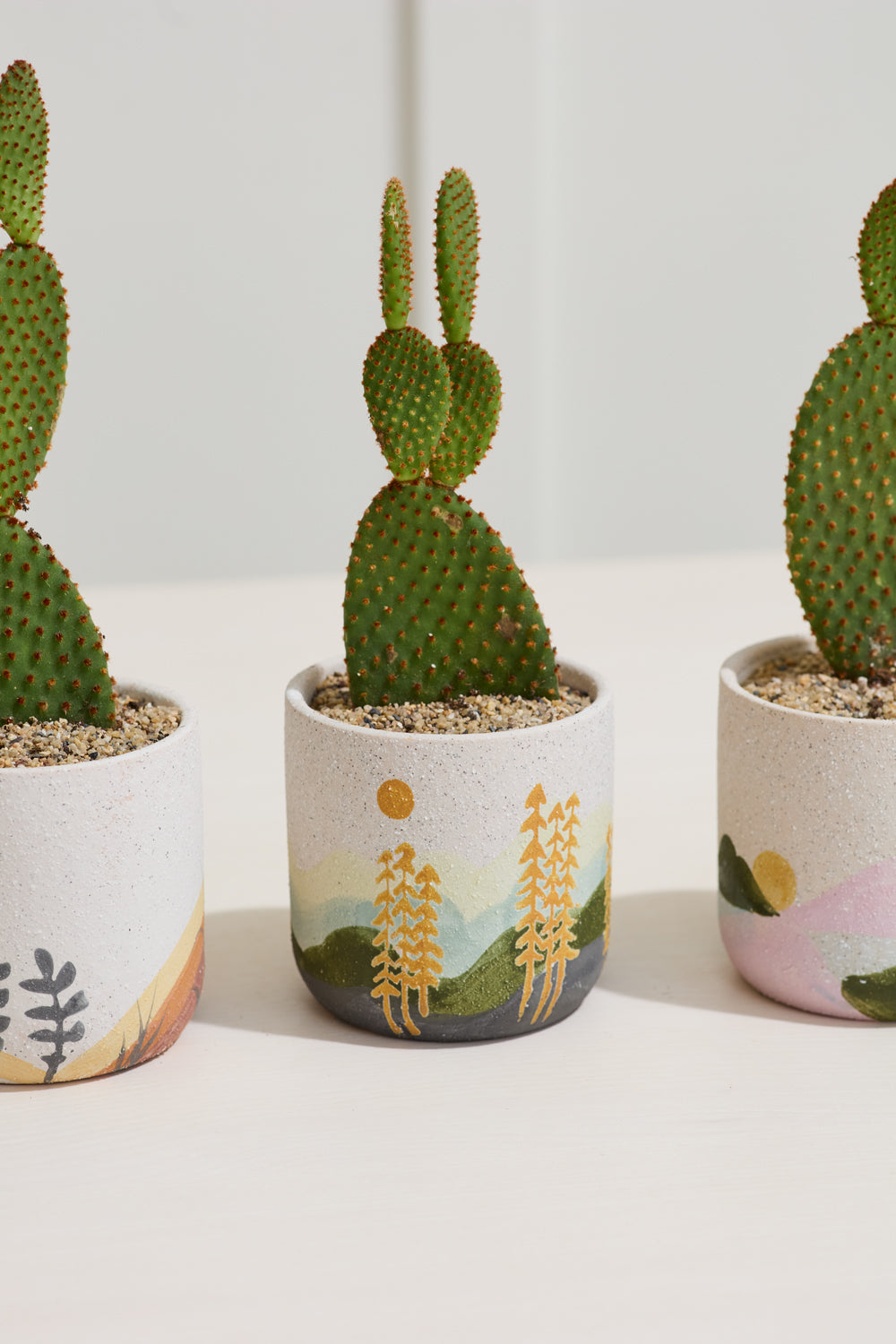 Design Shop Multicolor Mojave Pot Forest, 3.75" X 3.75", Set of 2.