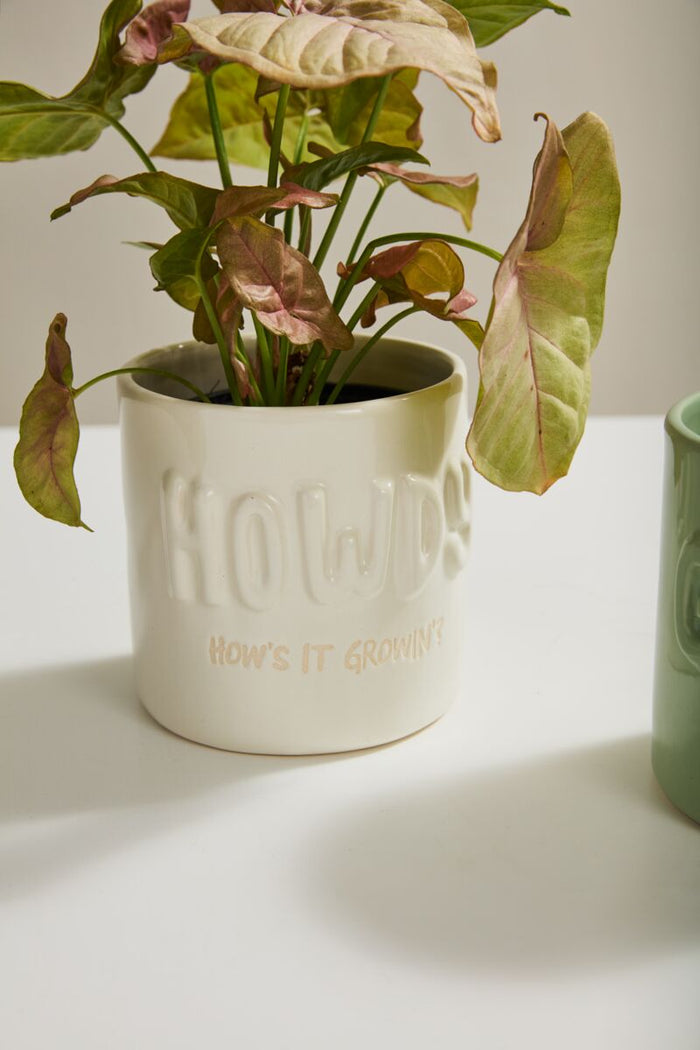 Design Shop White Plantism Pot Howdy, How's it Growin'?, 5" X 4.75", Set of 4.