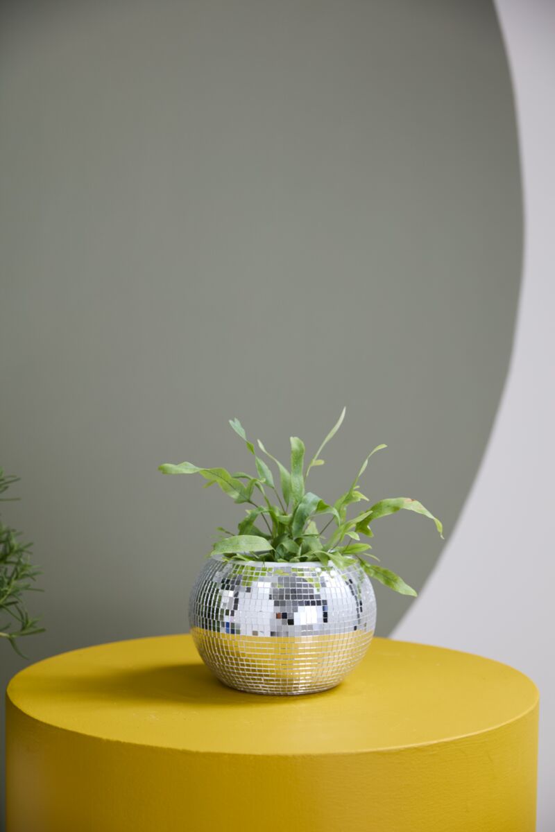 Design Shop Silver Disco Collection Pot, 6.5" X 4.75".
