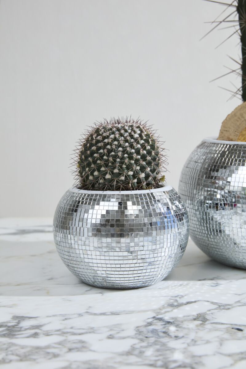 Design Shop Silver Disco Collection Pot, 6.5" X 4.75".