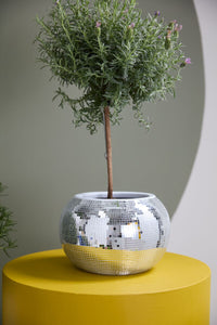 Design Shop Silver Disco Collection Pot, 10" X 6.75".